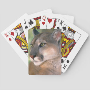 Cougar, California Poker Cards