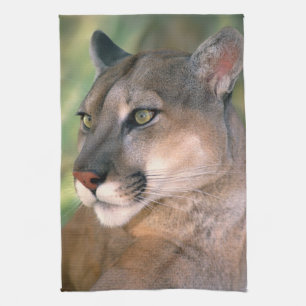 Cougar, California Towel