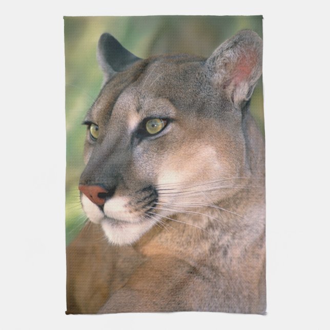 Cougar, California Towel (Vertical)