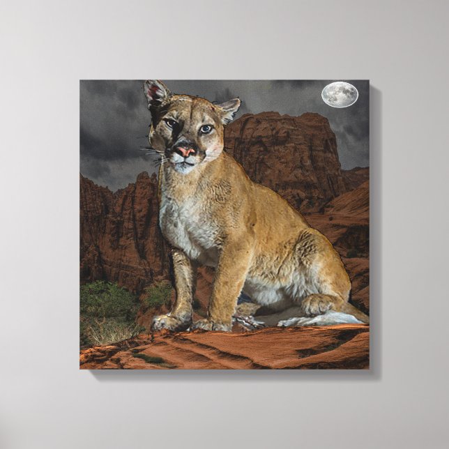 Cougar Canvas Print (Front)
