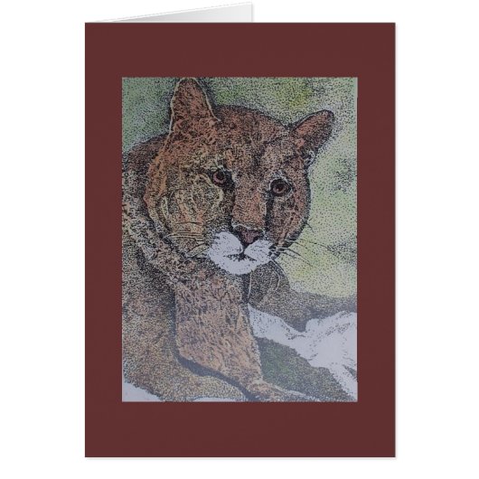 cougar cards (Front)