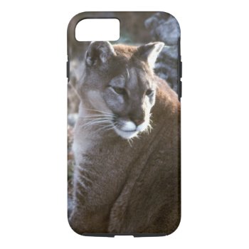 Cougar Iphone 8/7 Case by Artnmore at Zazzle