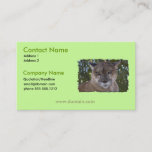 Cougar Cat Business Card