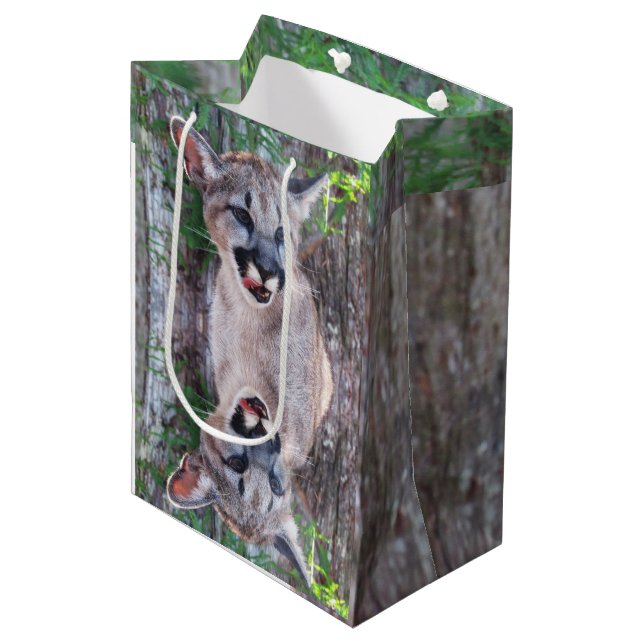 Cougar Cub Small or Medium Gift Bag (Front Angled)