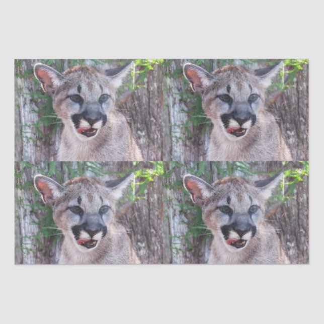 Cougar Cub Tissue Paper / Decoupage Paper  (Front)