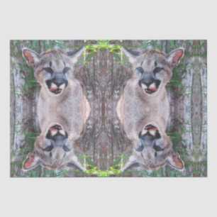 Cougar Cub Tissue Paper / Decoupage Paper