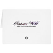 Cougar Drinking Card (Back Horizontal)