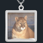 Cougar Face Silver Plated Necklace<br><div class="desc">Cougar wildlife photography.</div>