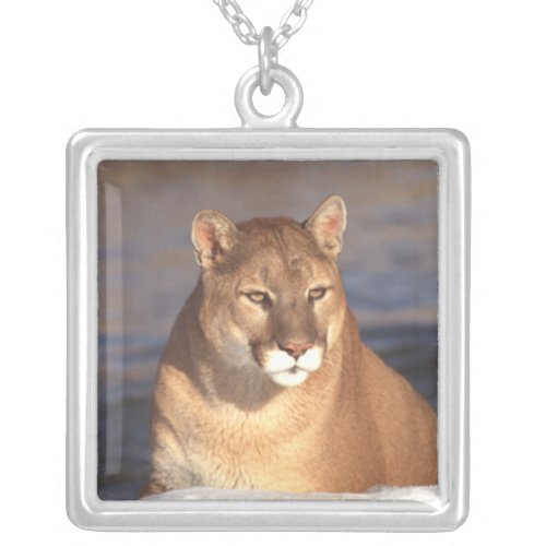 Cougar Face Silver Plated Necklace
