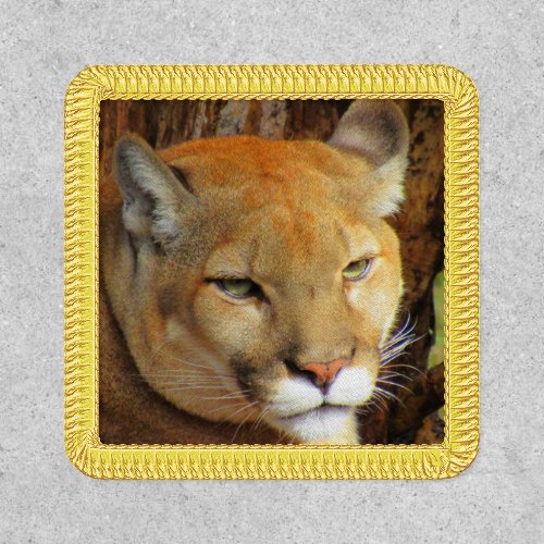 Cougar  Florida Panther  Mountain Lion _ Patch