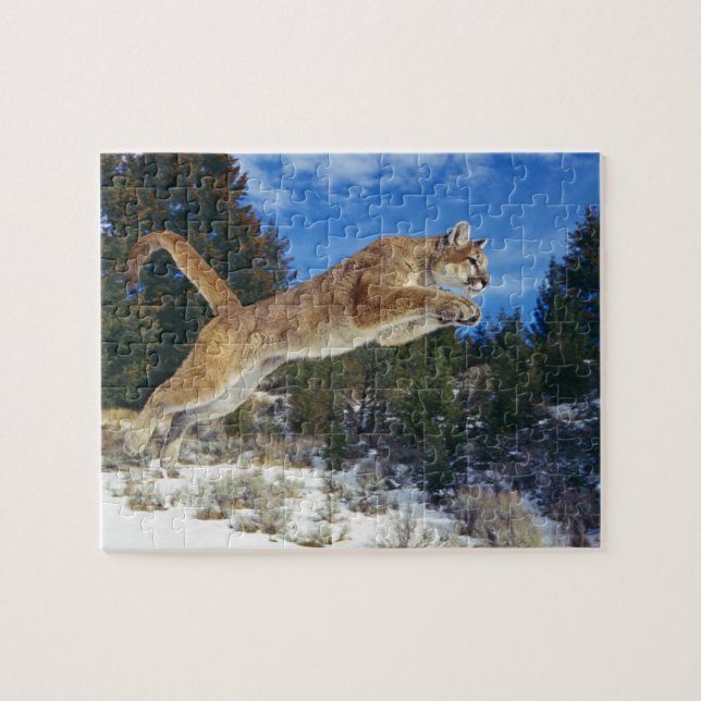 Cougar Game Puzzle (Horizontal)