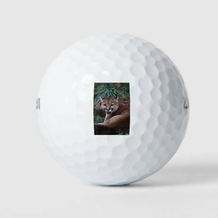 Cougar Golf Balls Zazzle