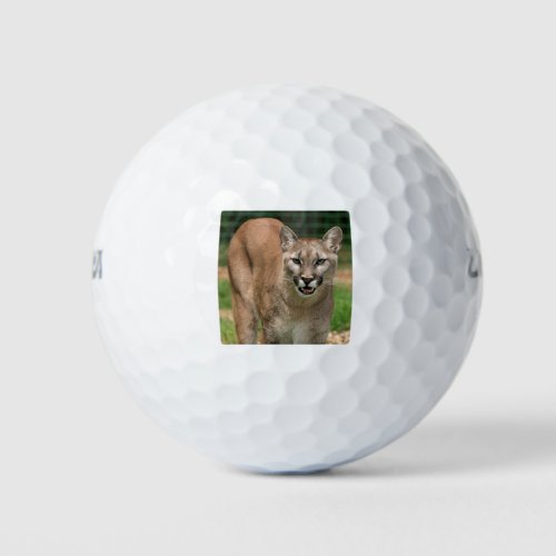 Cougar Golf Balls