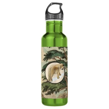 Cougar In Natural Habitat Illustration Water Bottle by Wildlifey at Zazzle