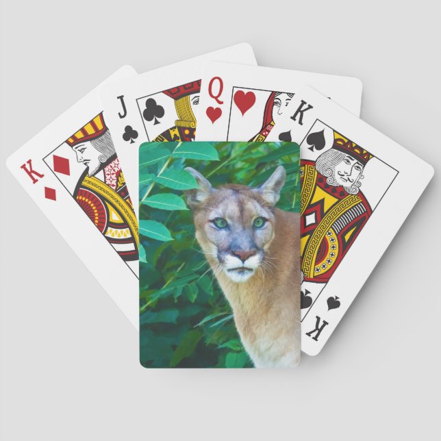 Cougar in the Jungle Poker Cards (Back)