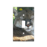 Cougar Light Switch Cover