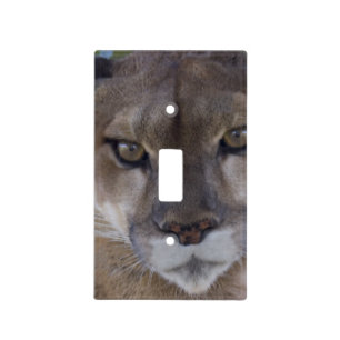 Cougar Light Switch Cover