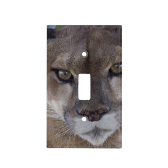 Cougar Light Switch Cover (Front)