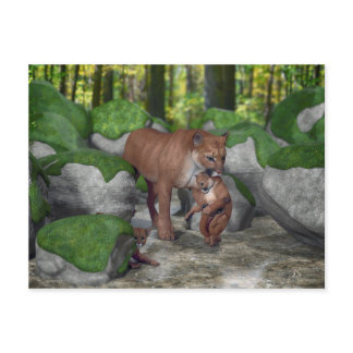 Cougar Mother Carrying Cub Postcard