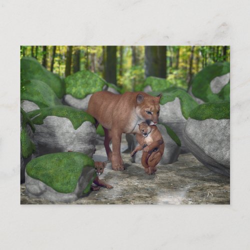 Cougar Mother Carrying Cub Postcard