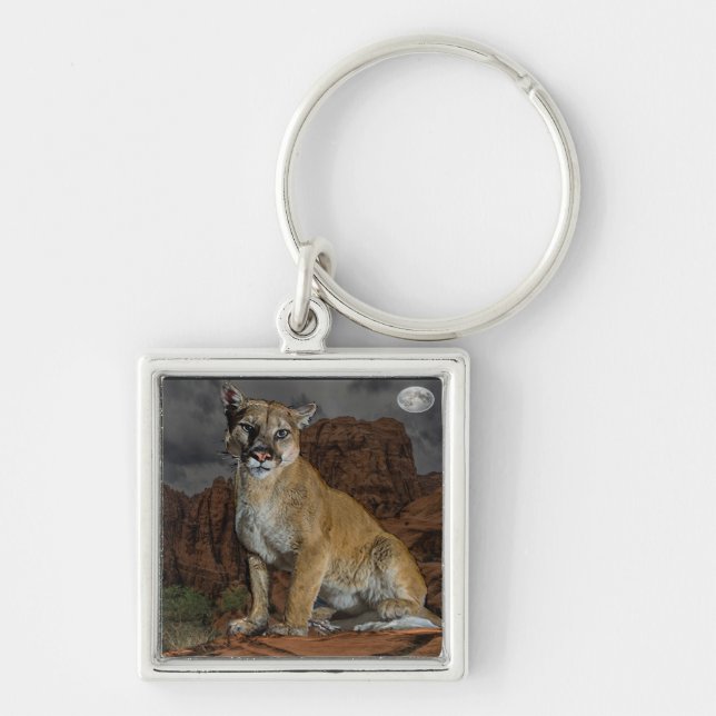 cougar mountain  keychain (Front)