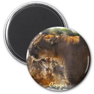 Cougar Mountain Lion Big Cat Art Design 4 Magnet