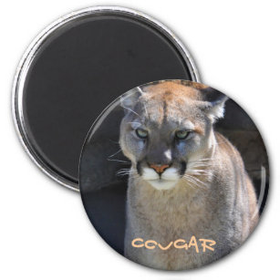 Cougar Mountain Lion Big Cat Art Design Magnet