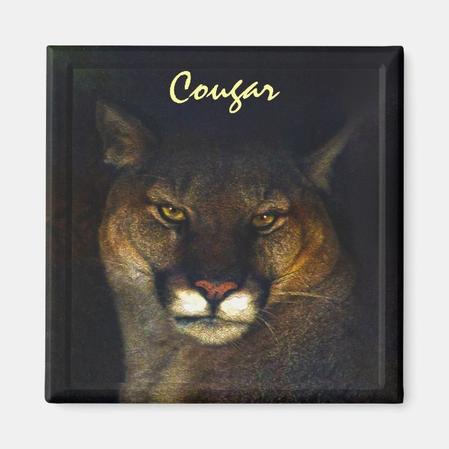 Cougar Mountain Lion Big Cat Art Designer Magnet (Front)