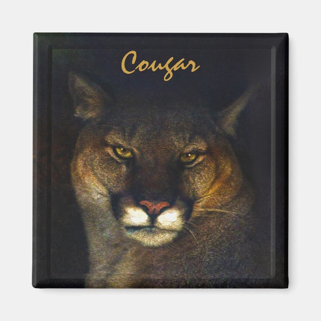 Cougar Mountain Lion Big Cat Art Designer Magnet (Front)