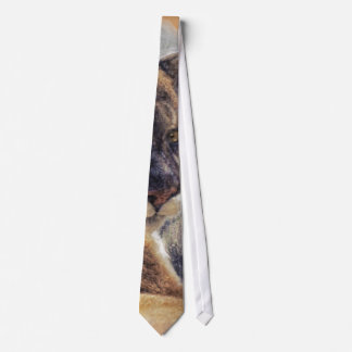 Cougar Mountain Lion Big Cat Painting 2 Neck Tie