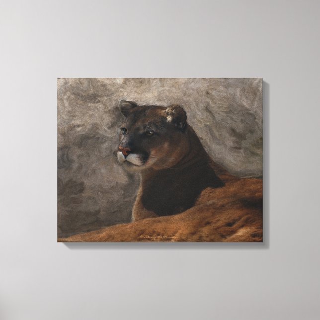 Cougar Mountain Lion Big Cat Painting Canvas Print (Front)