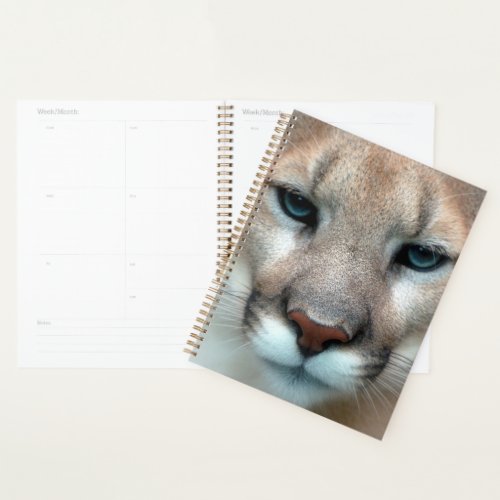 Cougar Mountain  Lion Cat Animal Destinys Destiny Planner