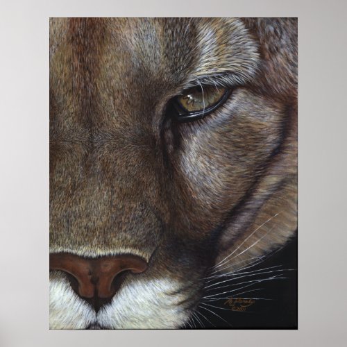 Cougar Mountain Lion Face Poster