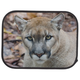 Cougar, mountain lion, Florida panther, Puma 2 Car Floor Mat