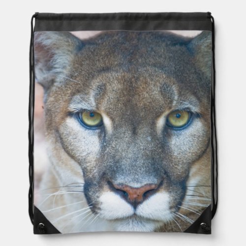 Cougar mountain lion Florida panther Puma 2 Drawstring Bag