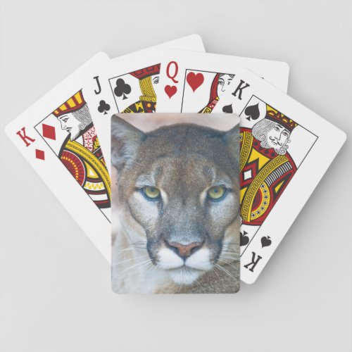 Cougar mountain lion Florida panther Puma 2 Playing Cards