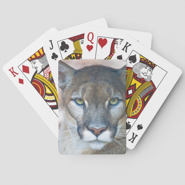 Cougar, mountain lion, Florida panther, Puma 2 Poker Cards (Back)