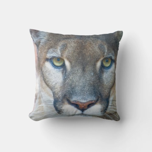Cougar mountain lion Florida panther Puma 2 Throw Pillow