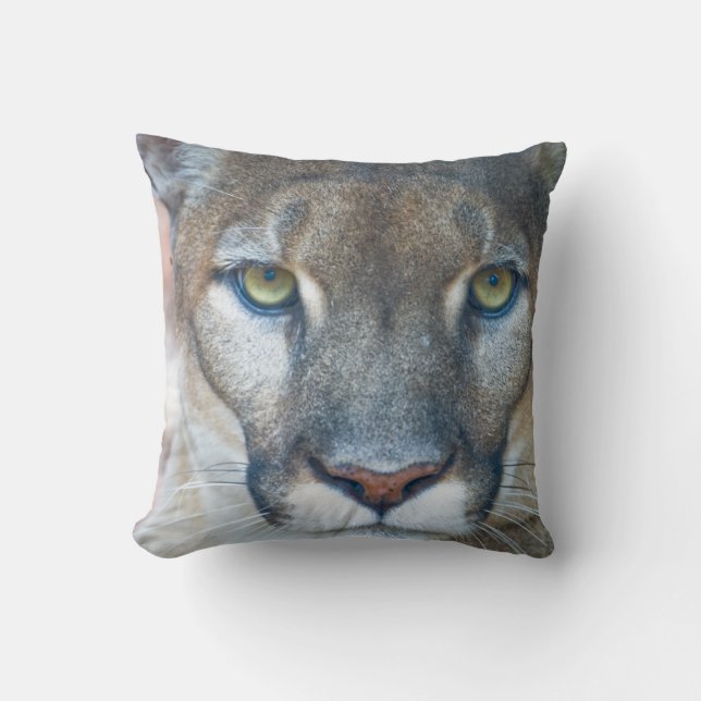 Cougar, mountain lion, Florida panther, Puma 2 Throw Pillow (Front)