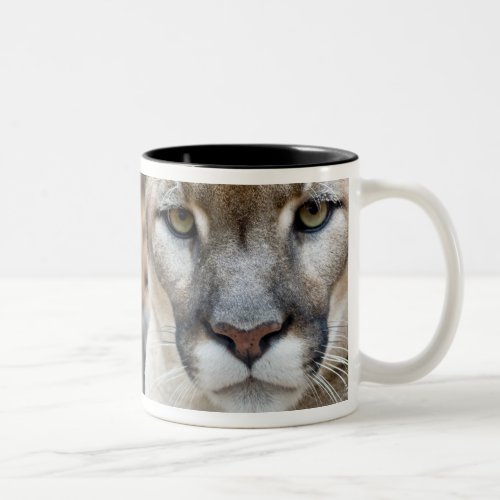 Cougar mountain lion Florida panther Puma 2 Two_Tone Coffee Mug