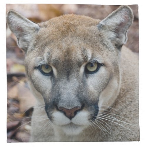 Cougar mountain lion Florida panther Puma Cloth Napkin