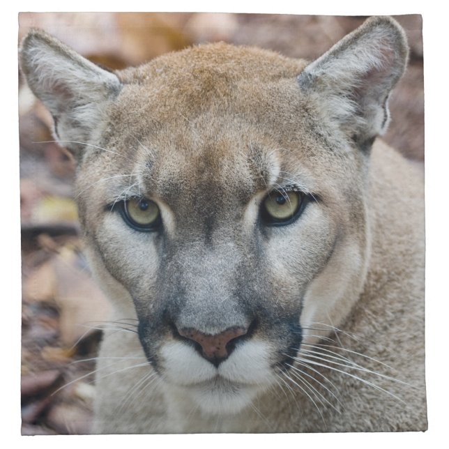 Cougar, mountain lion, Florida panther, Puma Cloth Napkin (Front)