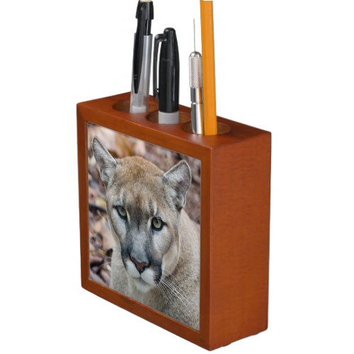 Cougar mountain lion Florida panther Puma Desk Organizer