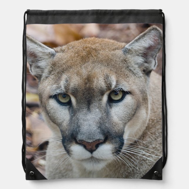 Cougar, mountain lion, Florida panther, Puma Drawstring Bag (Front)