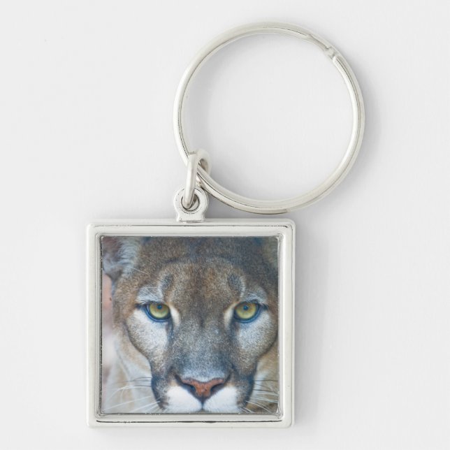 Cougar, mountain lion, Florida panther, Puma Keychain (Front)