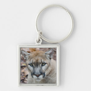 Cougar, mountain lion, Florida panther, Puma Keychain