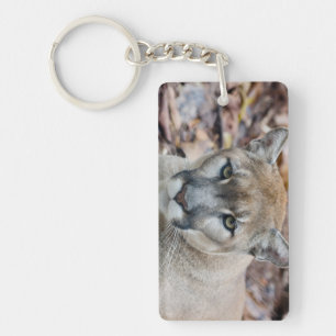 Cougar, mountain lion, Florida panther, Puma Keychain