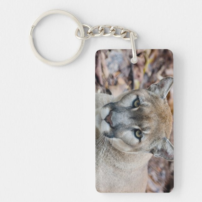 Cougar, mountain lion, Florida panther, Puma Keychain (Front)