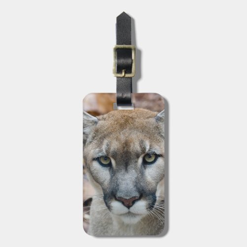 Cougar mountain lion Florida panther Puma Luggage Tag