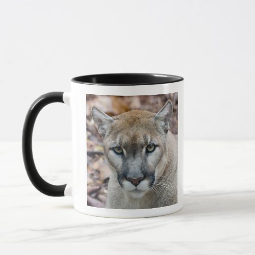 Cougar mountain lion Florida panther Puma Mug